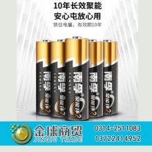 南孚5号电池