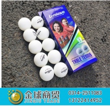 兰威训练型乒乓球（10只装）