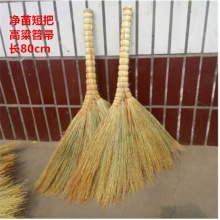 赞晨净苗不带籽高梁扫把