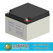 理士蓄电池DJW12-24(12V24AH)