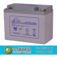 理士蓄电池DJM1255S(12V55AH)