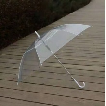 透明雨伞