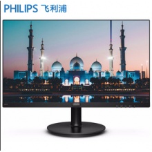 飞利浦（PHILIPS）241V8显示屏