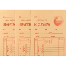 团员档案袋